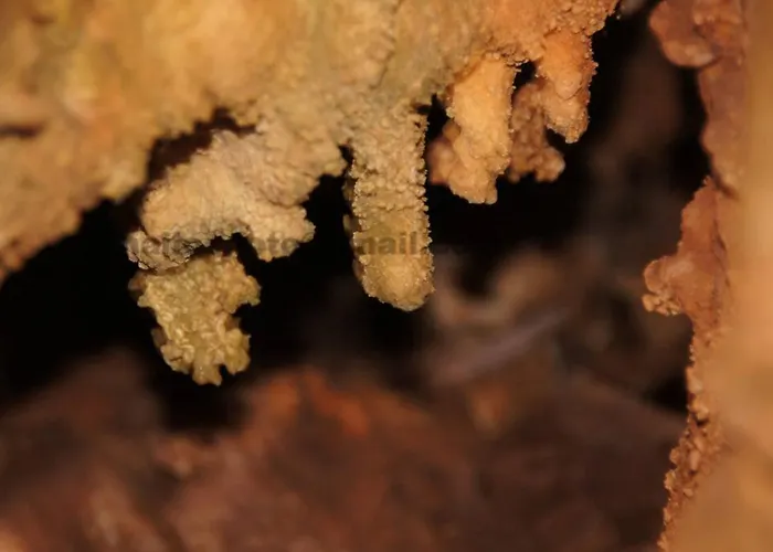 Giannakis Filoxenia 3* Filotion